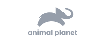 Animal Planet