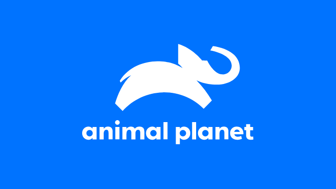 Animal Planet | Watch Full Episodes, Specials & More